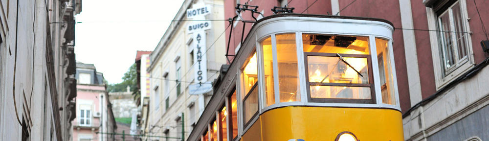 Hanifah Mutia ZN Amrul, S.Si, M.Si.